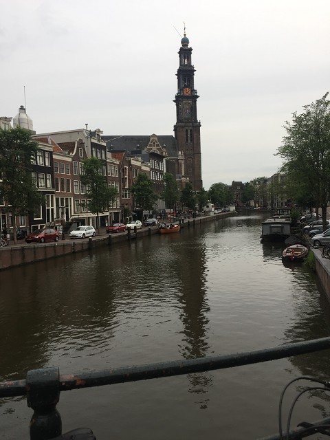 IMG 2535