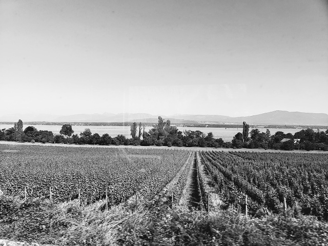 20190629 163337-EFFECTS